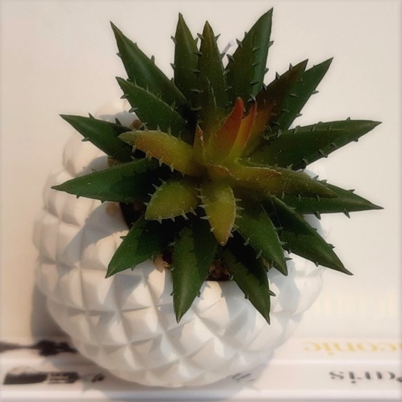 BOUCLAIR Free with $50+ Purchase-Faux Succulent In White Matt Ceramic Pi… - Picture 3 of 4